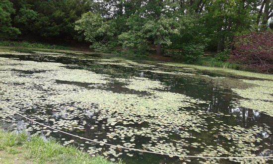 Roslyn Pond Park